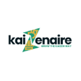 Kaizenaire logo